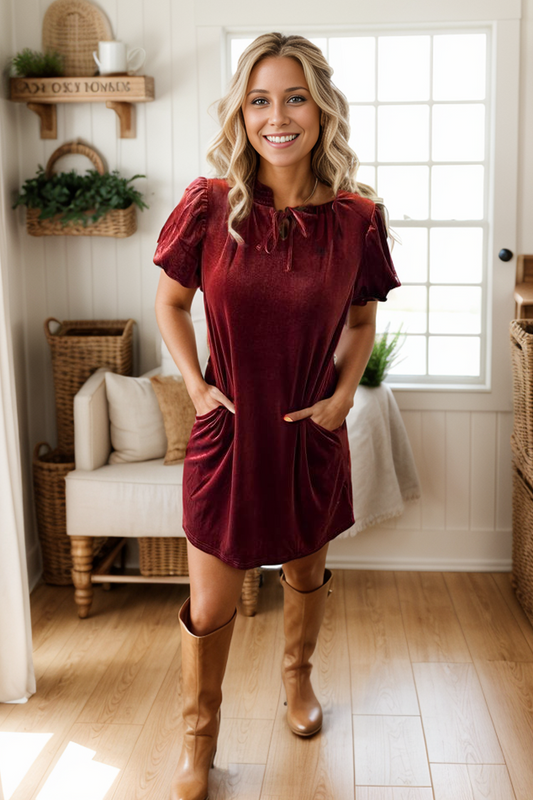 Elly Velvet Dress